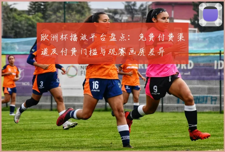 欧洲杯播放平台盘点：免费付费渠道及付费门槛与观赛画质差异