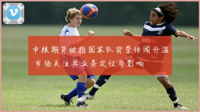 中粮期货被指国家队背景传闻升温 市场关注其业务定位与影响