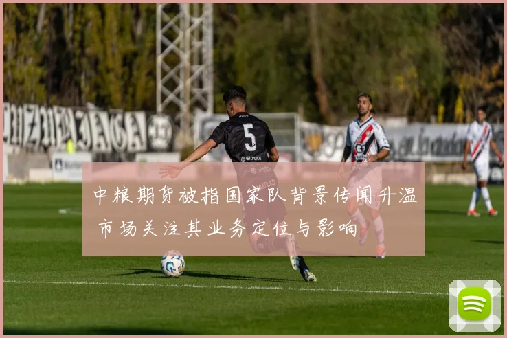 中粮期货被指国家队背景传闻升温 市场关注其业务定位与影响