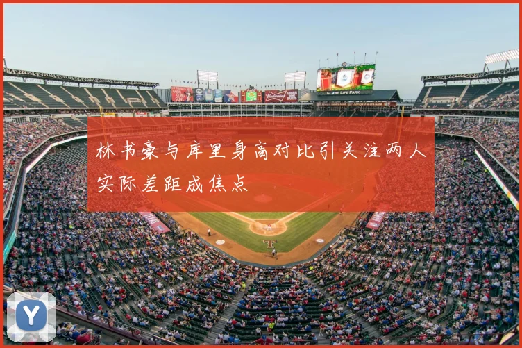 林书豪与库里身高对比引关注两人实际差距成焦点