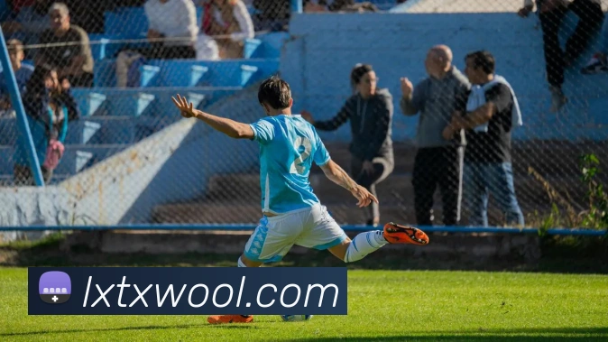 环球体育平台官网发展历程